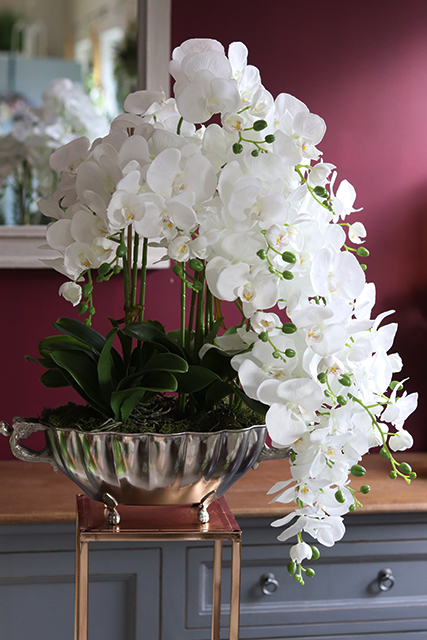 Luksus Kaskada, spływający storczyk w metalowej donicy, wys.70cm
