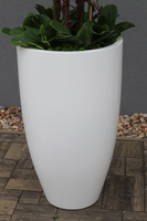 bardzo duży gumowy storczyk Grande Silicone, wys.135cm