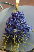 bukiet tajskiej orchidei, Multikolor, niebieska, 12szt, dł.67cm 