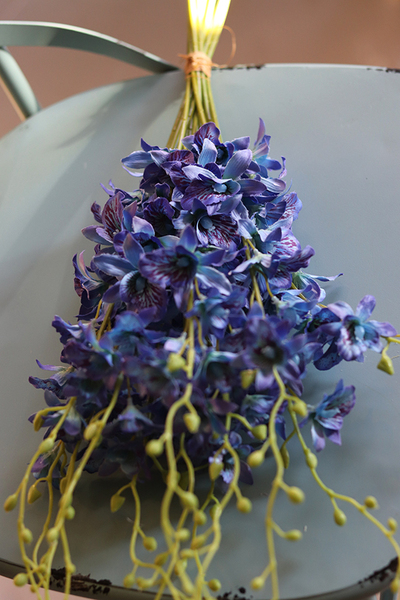 bukiet tajskiej orchidei, Multikolor, niebieska, 12szt, dł.67cm 