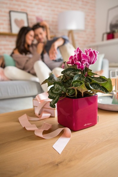 Cube Glossy, elegancka donica z nawadnianiem, czerwona, wym.14x14cm