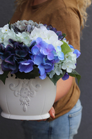 bajeczna kompozycja z niebieskich hortensji, Karenao 2, wys.33x34cm