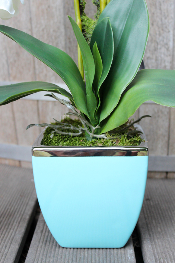 sztuczny storczyk Turkus, wys.60cm