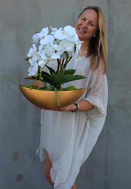 bardzo elegancki Laos Gold, storczyk w złotej osłonce, wys.40cm 