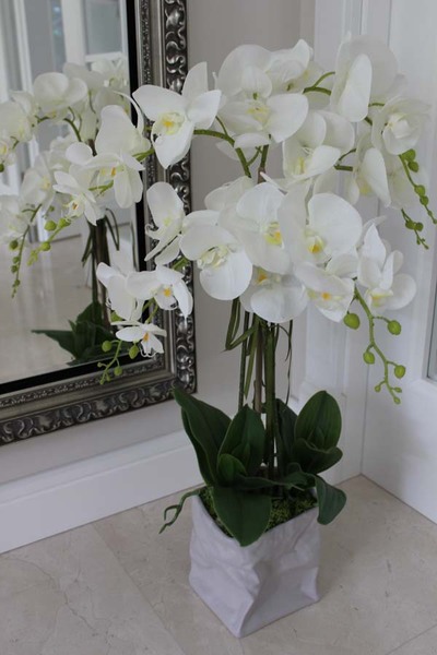 Burano gumowy storczyk w oryginalnej ceramicznej donicy, wys.77cm 