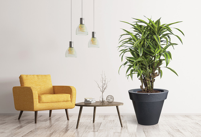 Grande donica ciemny marmurek, 88x75cm