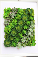 atrakcyjna jednostronna rama Sukulenty Hotels Rowena, wym.77x57cm 