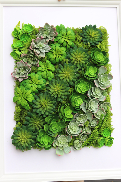 atrakcyjna jednostronna rama Sukulenty Hotels Rowena, wym.77x57cm 