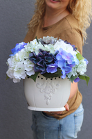 bajeczna kompozycja z niebieskich hortensji, Karenao 2, wys.33x34cm