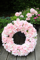 Bladoróżowa Hortensja wianek na drzwi, śr.60cm  