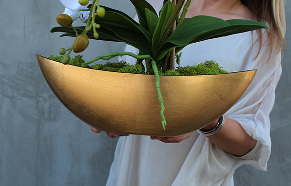 bardzo elegancki Laos Gold, storczyk w złotej osłonce, wys.40cm 