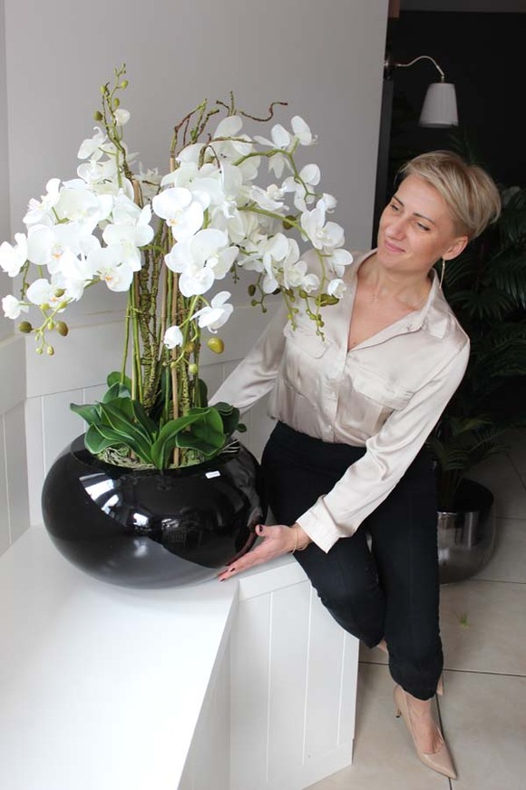 bardzo duży storczyk Grande Belezza, wys.100cm 