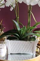 Nemito Lungo, sztuczny storczyk w białej, podłużnej donicy, wys.46cm 