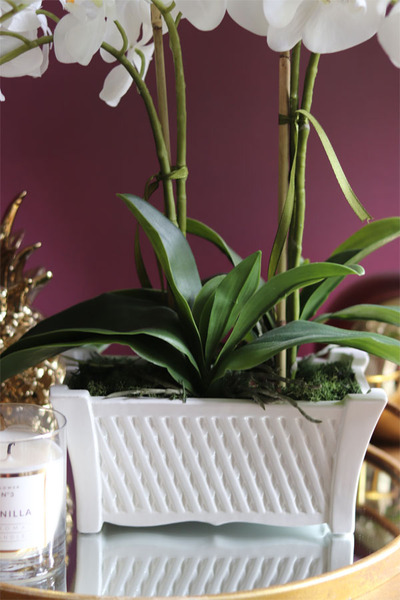 Nemito Lungo, sztuczny storczyk w białej, podłużnej donicy, wys.46cm 