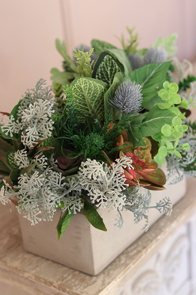 Renatta, piękna kompozycja Sukulenty w betonowej donicy, wys.28cm