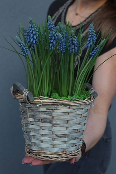 koszyczek Szafirków, dekoracja ze sztucznych roślin, wys.32cm