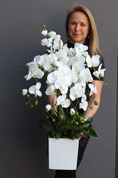 Bristol House, storczyk w minimalistycznej donicy, wys.70cm