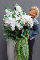 Fiberglass Grande Eucalipto, efektowny storczyk w białej donicy z fiberglass, wys. 158cm