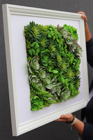 atrakcyjna jednostronna rama Sukulenty Hotels Rowena, wym.77x57cm 