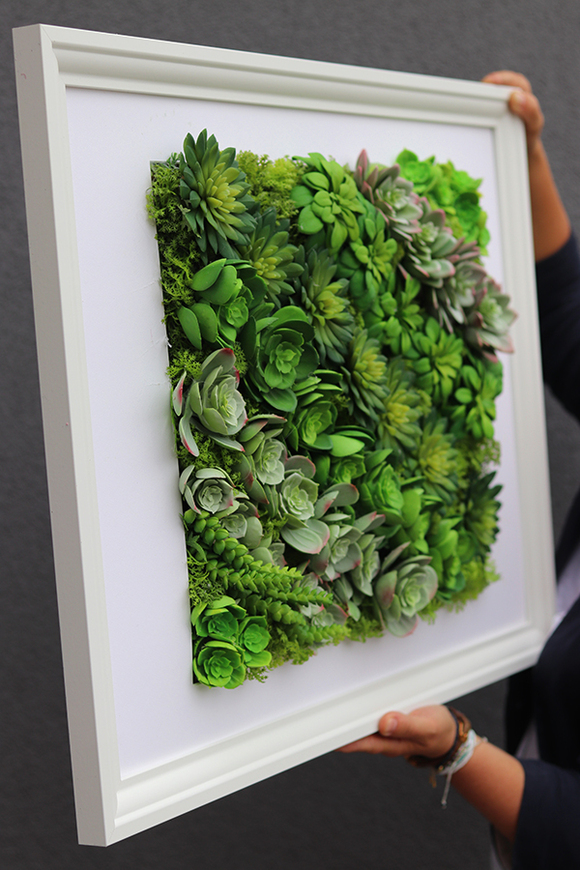 atrakcyjna jednostronna rama Sukulenty Hotels Rowena, wym.77x57cm 