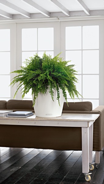 Classico, elegancka donica z nawadnianiem, biała, wym.17x18cm