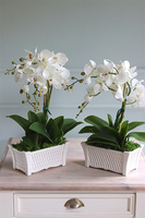 Nelina, sztuczny storczyk w białej podłużnej donicy, wys.50cm 