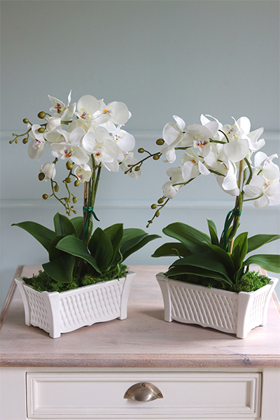 Nelina, sztuczny storczyk w białej podłużnej donicy, wys.50cm 