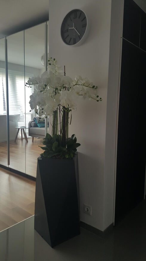 Nevis Antracyt Grande storczyk w nowoczesnej donicy, wys.160cm 