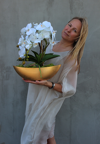 bardzo elegancki Laos Gold, storczyk w złotej osłonce, wys.40cm 