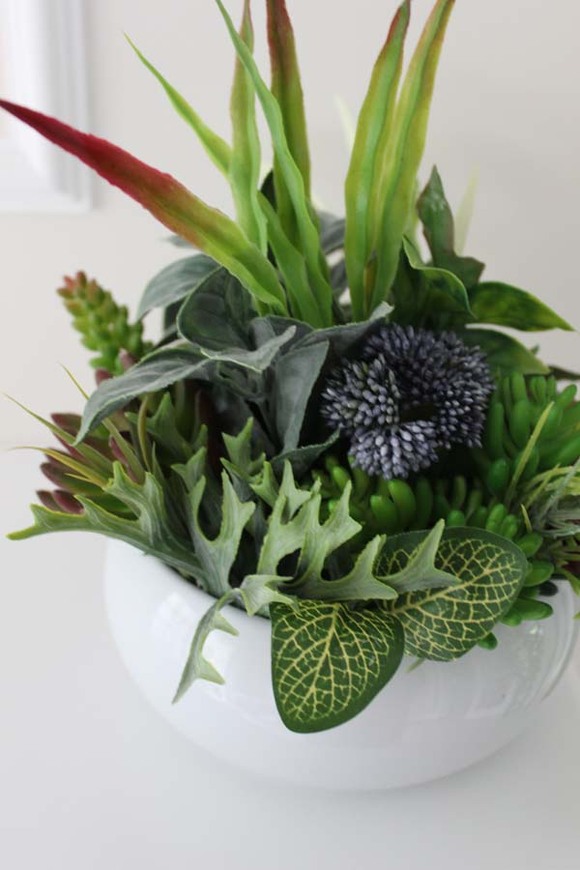 Atena, kompozycja sukulenty w okrągłej donicy, wys.30cm