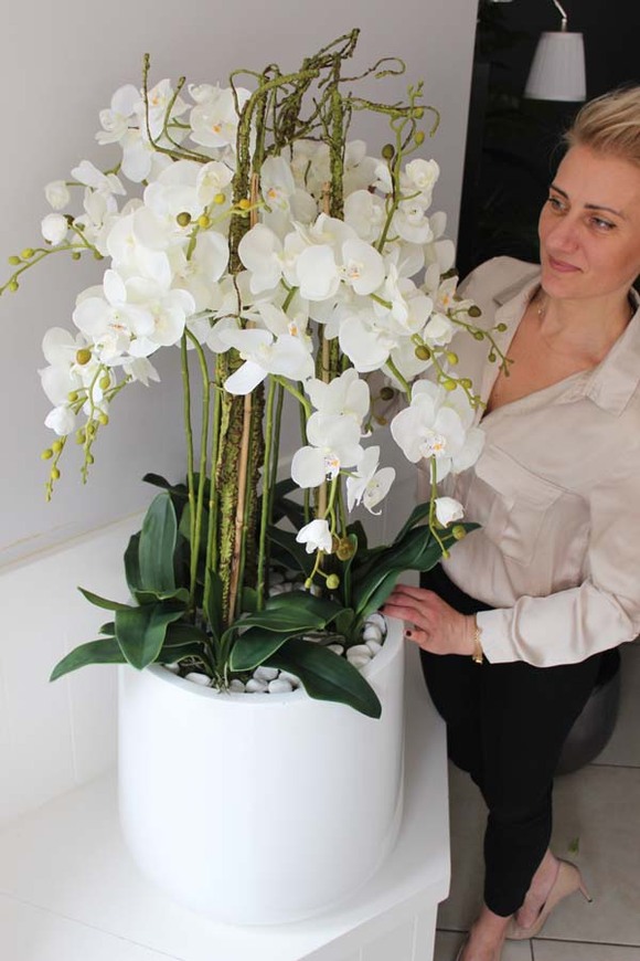 elegancki duży storczyk Milena Grande, wys.120cm