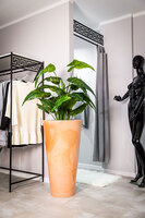 Della donica terakota 49x90cm