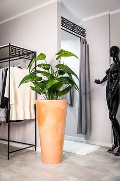 Della donica terakota 49x90cm