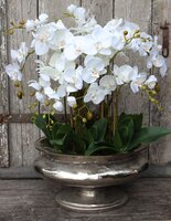 ogromny storczyk sztuczny w aluminiowej donicy Ballada, wys.80cm