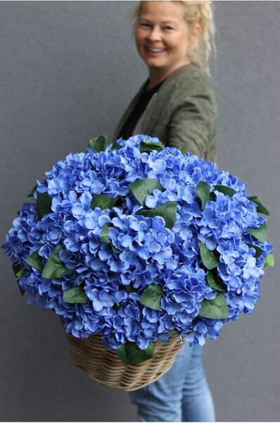 bardzo bogaty kosz hortensji, Blue Velina, wym.48x50cm 
