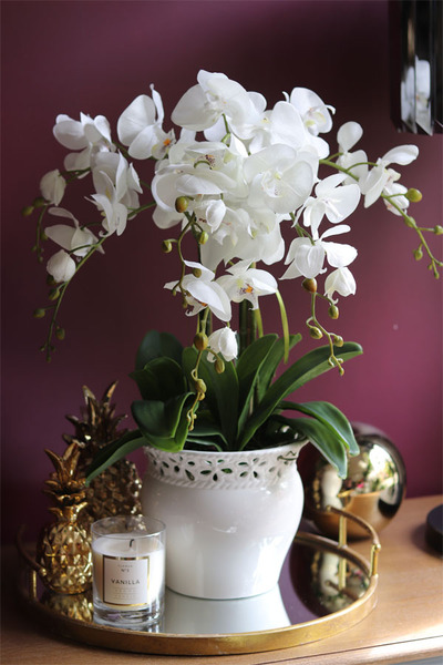 Mirena, storczyk w białej koronkowej donicy, wys.56cm