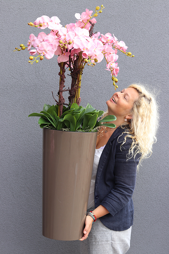 bardzo duży storczyk Madleine w kawowej donicy, wys.120cm 