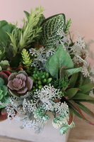 Renatta, piękna kompozycja Sukulenty w betonowej donicy, wys.28cm