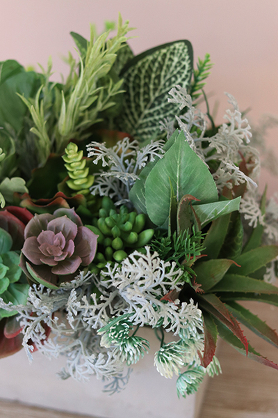 Renatta, piękna kompozycja Sukulenty w betonowej donicy, wys.28cm