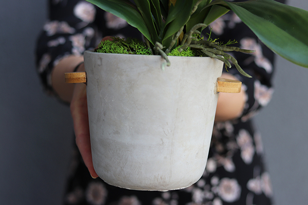 Perono, storczyk w szarej donicy, wys.56cm