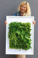 atrakcyjna jednostronna rama Sukulenty Hotels Forest, wym.77x57cm