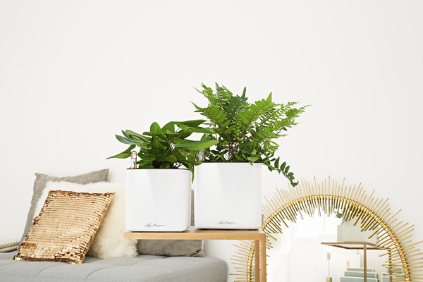 Cube Glossy, elegancka donica z nawadnianiem, biała, wym.14x14cm