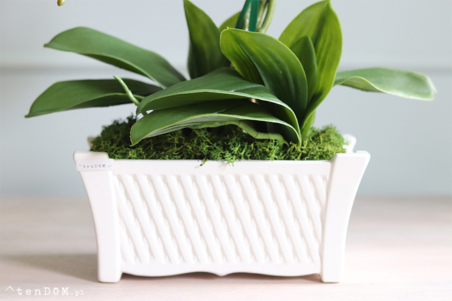 Nelina, sztuczny storczyk w białej podłużnej donicy, wys.50cm 