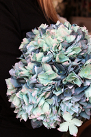 bukiet niebieskich niebieskich Blue 2, wys.49cm