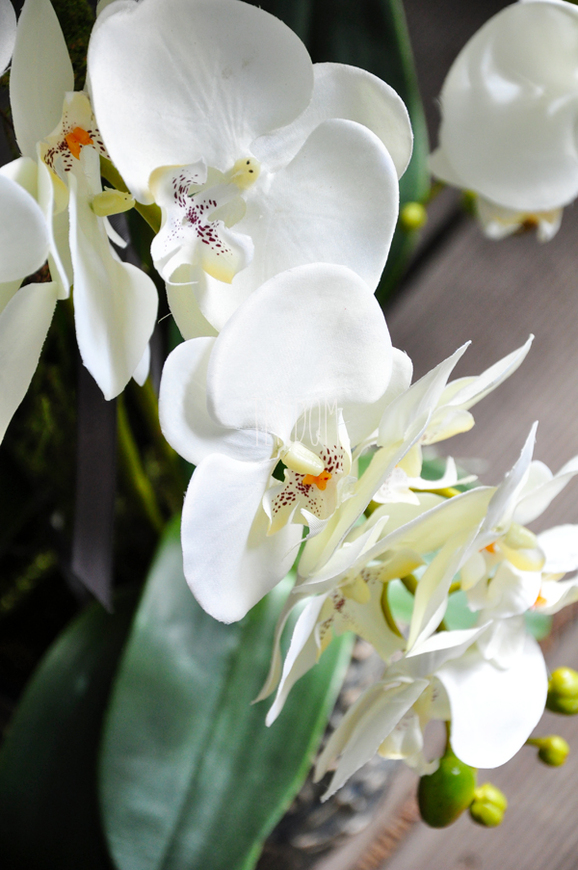 sztuczny storczyk Irmina w kolorze naturalnej bieli, wys.70cm