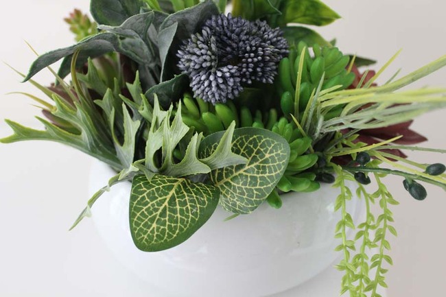 Atena, kompozycja sukulenty w okrągłej donicy, wys.30cm