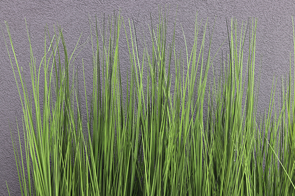 Fiberglass Grande White, sztuczne trawy w eleganckiej donicy, wys. 152cm