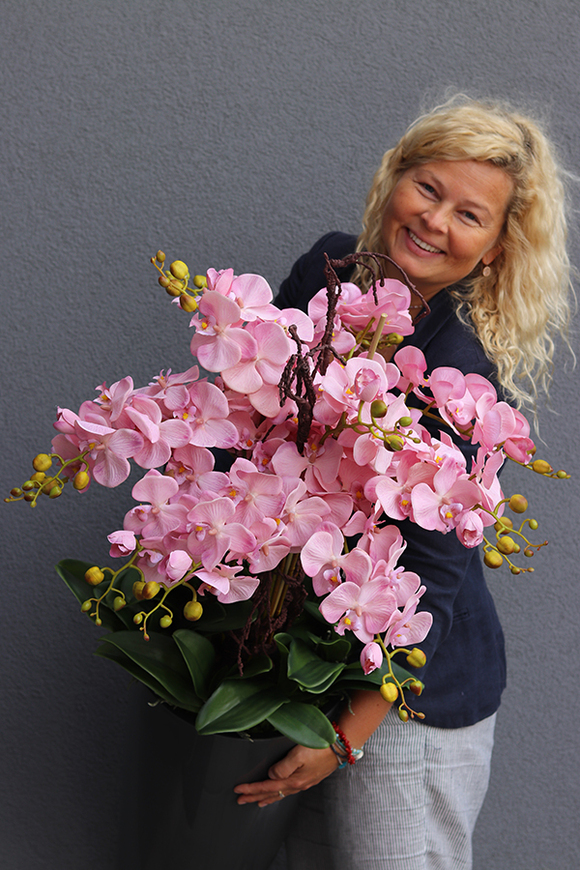 bardzo duży storczyk Madleine w kawowej donicy, wys.120cm 