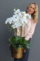 Golden Cooler, ekskluzywny sztuczny storczyk w złotym coolerze, wys.80cm