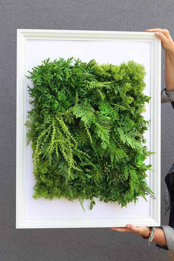 atrakcyjna jednostronna rama Sukulenty Hotels Forest, wym.77x57cm